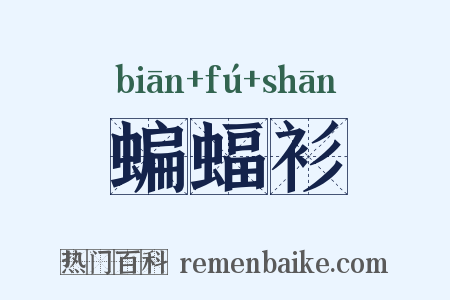 蝙蝠衫是什么意思的图片